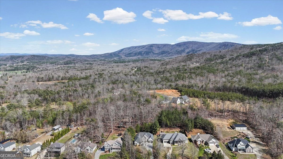 25 Cherokee Hills Drive Rydal - Photo 53