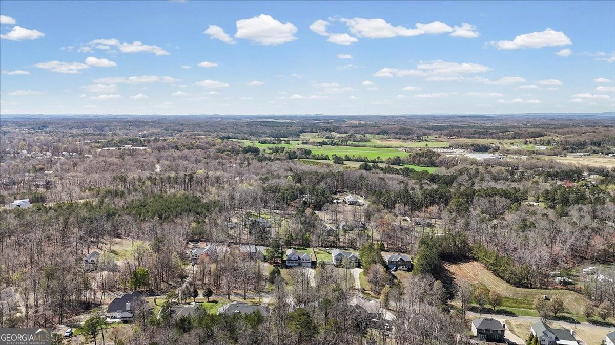 25 Cherokee Hills Drive Rydal - Photo 57