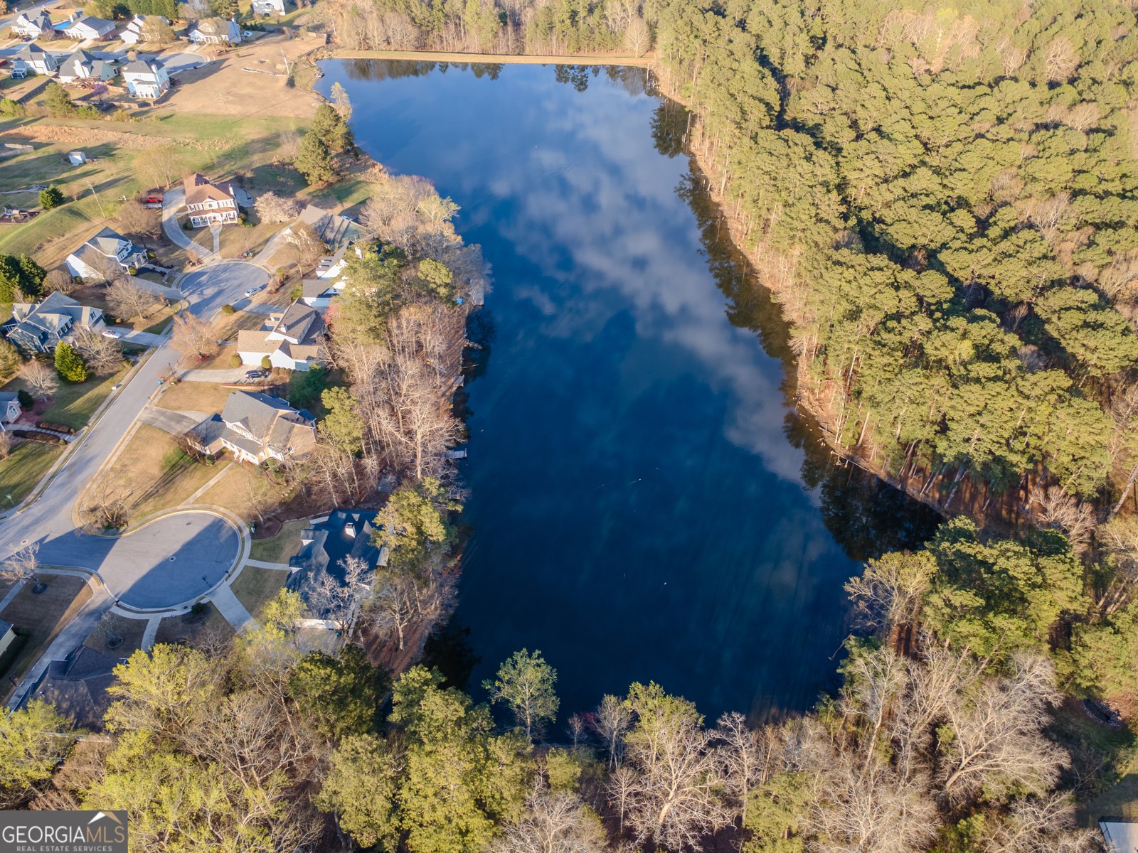 3817 Bald Eagle Drive Loganville - Photo 41