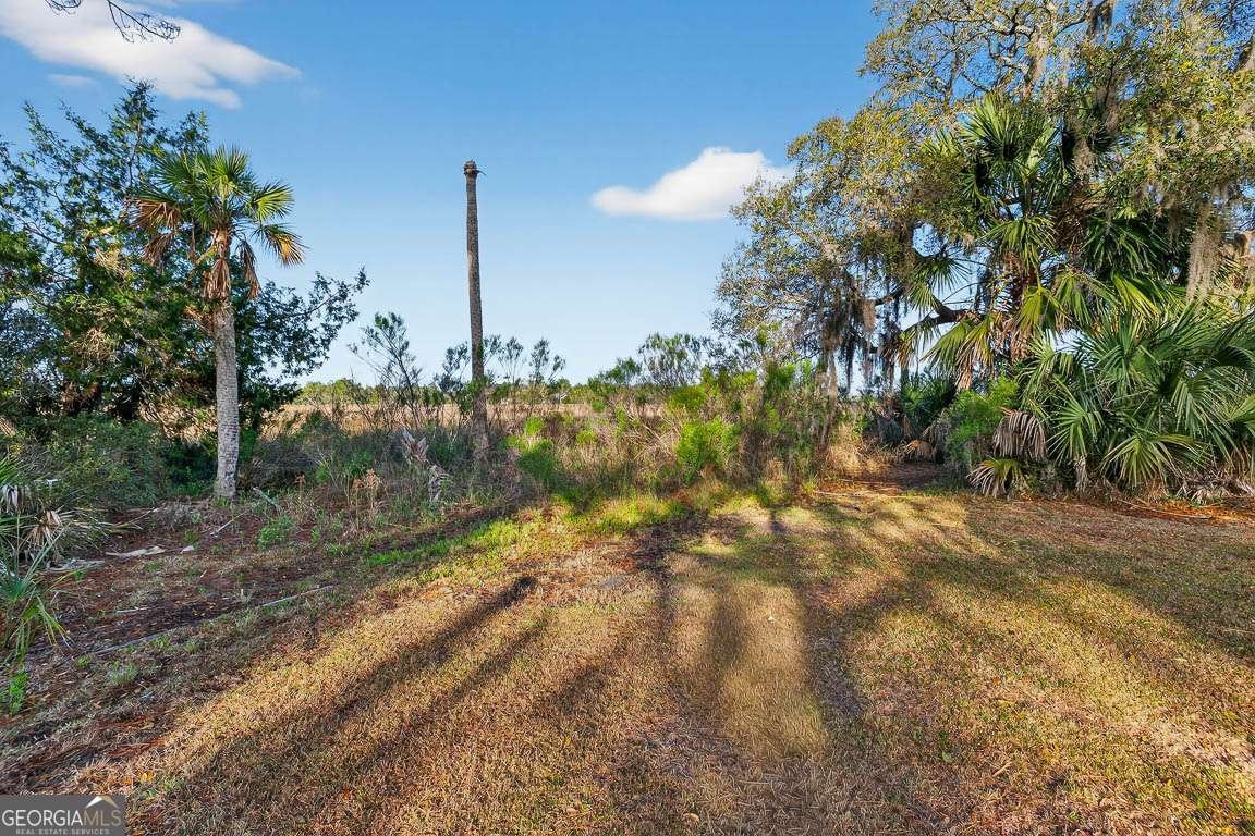 123 Ashley Marsh Drive Brunswick - Photo 31