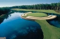 105 Heron Pointe Trail Canton - Photo 35