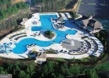 105 Heron Pointe Trail Canton - Photo 36