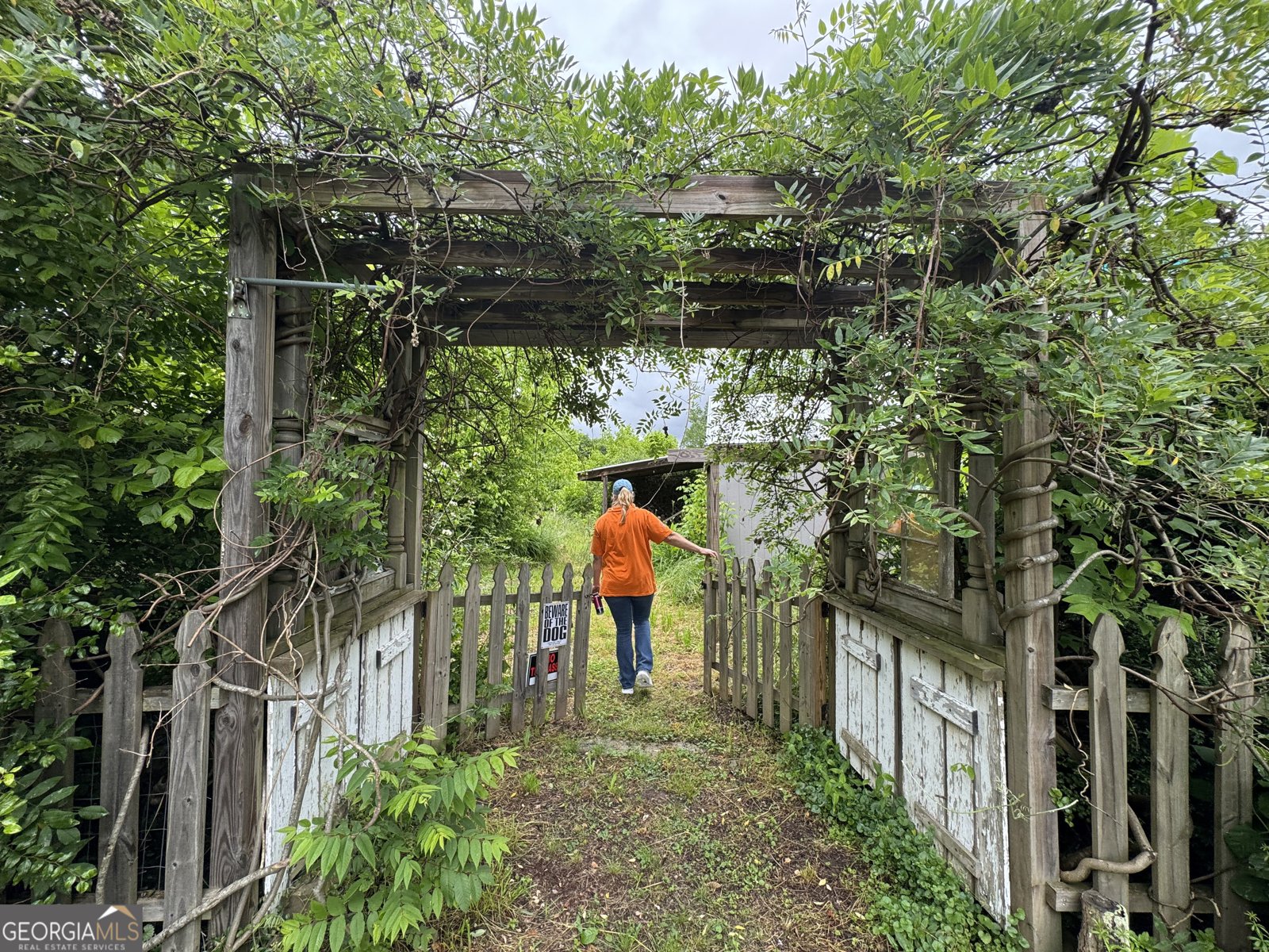 9122 Blue Ridge Highway Blairsville - Photo 6