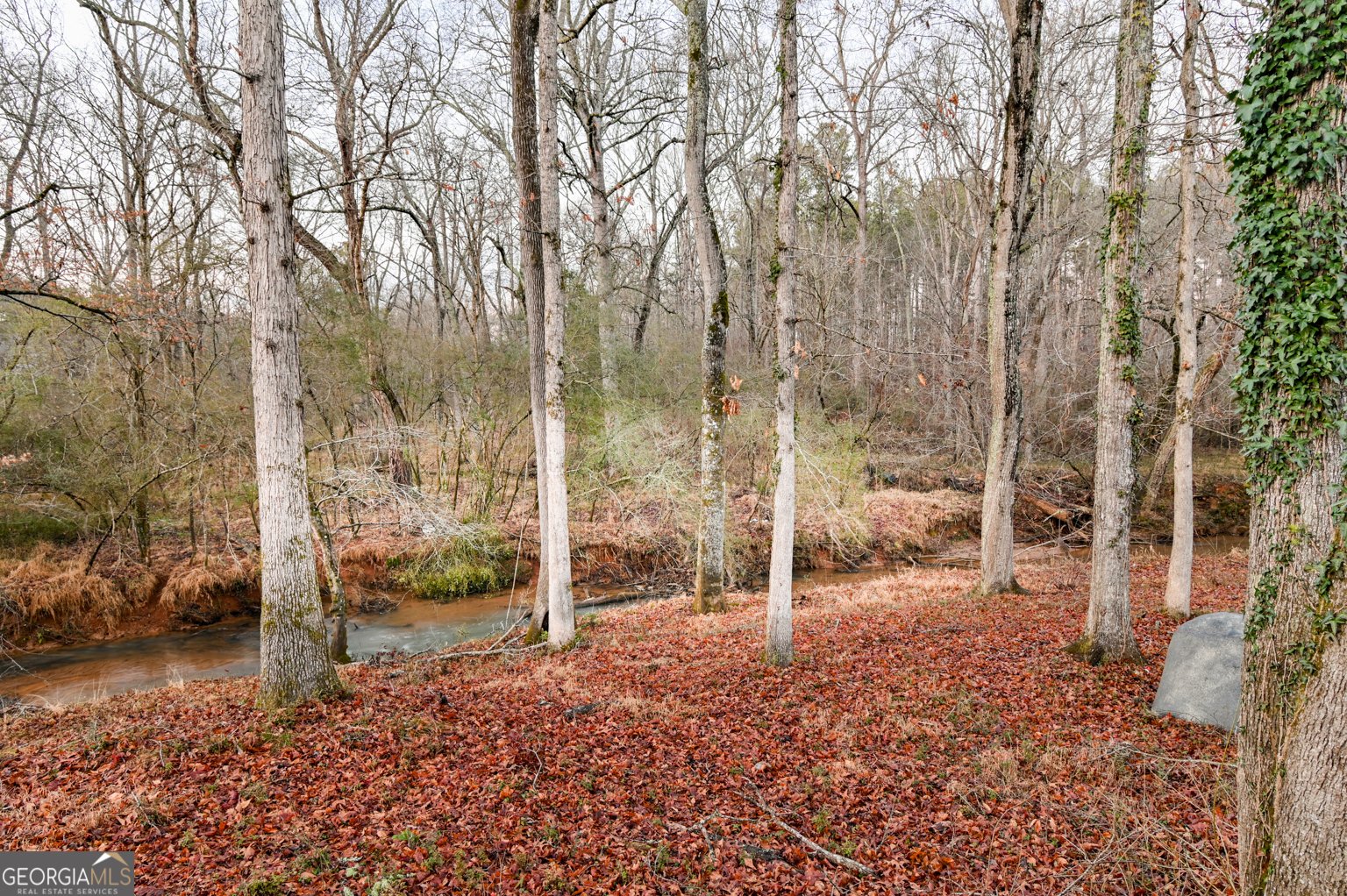 1431 Brandy Shoals Drive Conyers - Photo 6