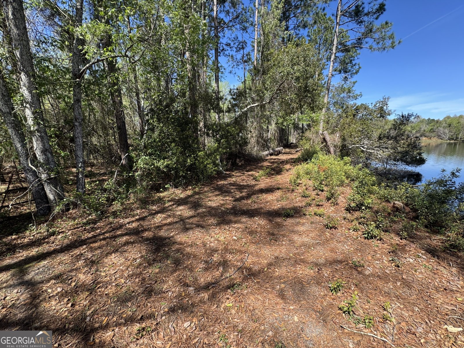 1230 Rolling Acres Road Metter - Photo 28