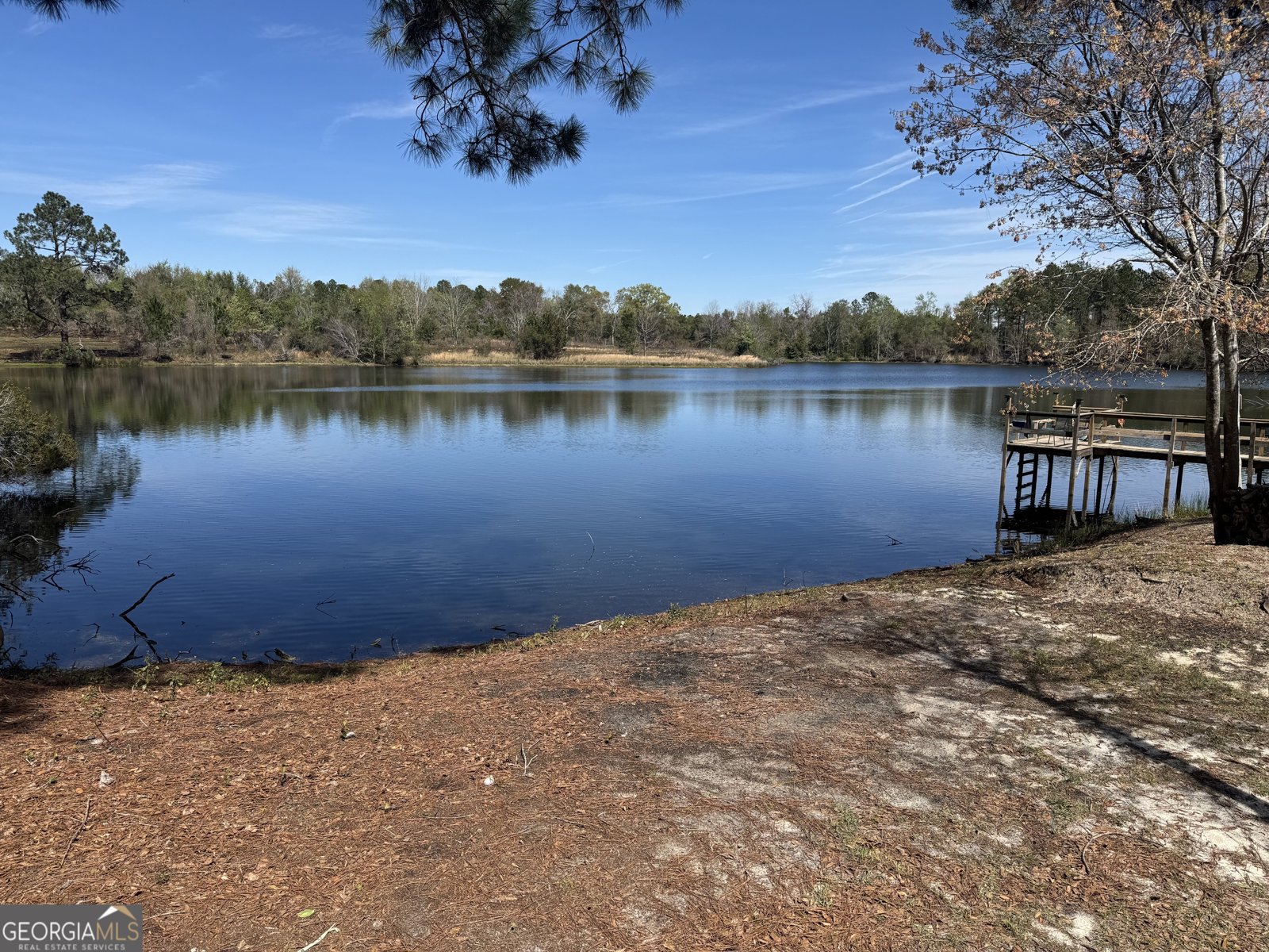 1230 Rolling Acres Road Metter - Photo 37