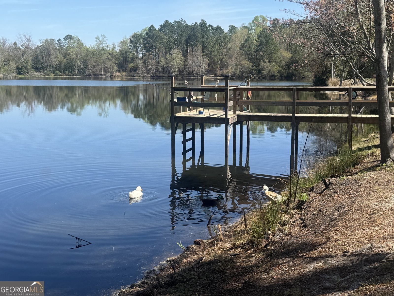 1230 Rolling Acres Road Metter - Photo 39