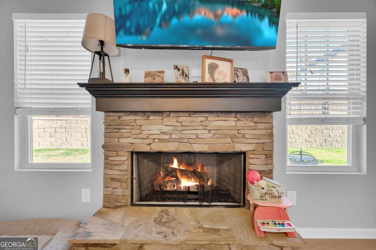 117 Harrier Drive Dawsonville - Photo 19