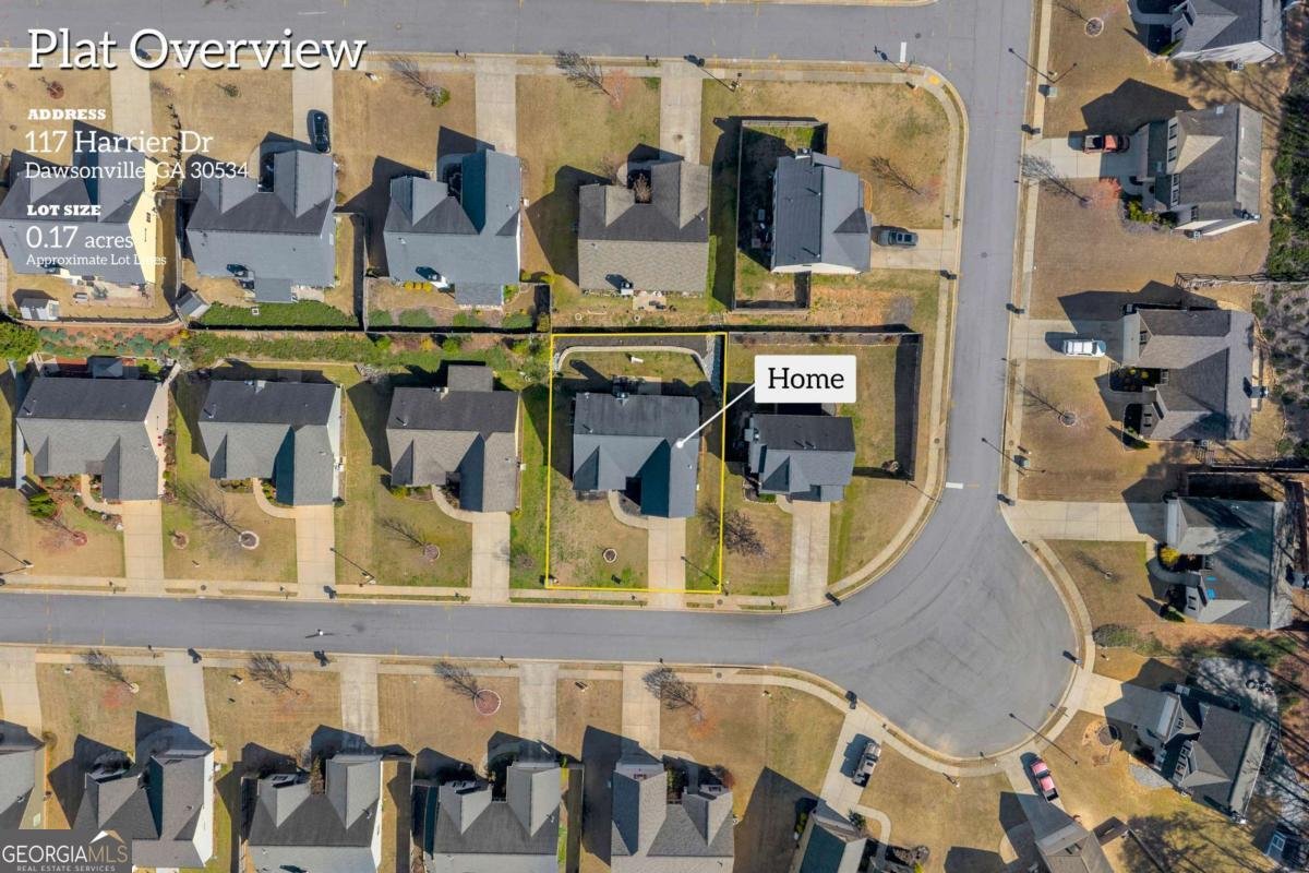 117 Harrier Drive Dawsonville - Photo 43