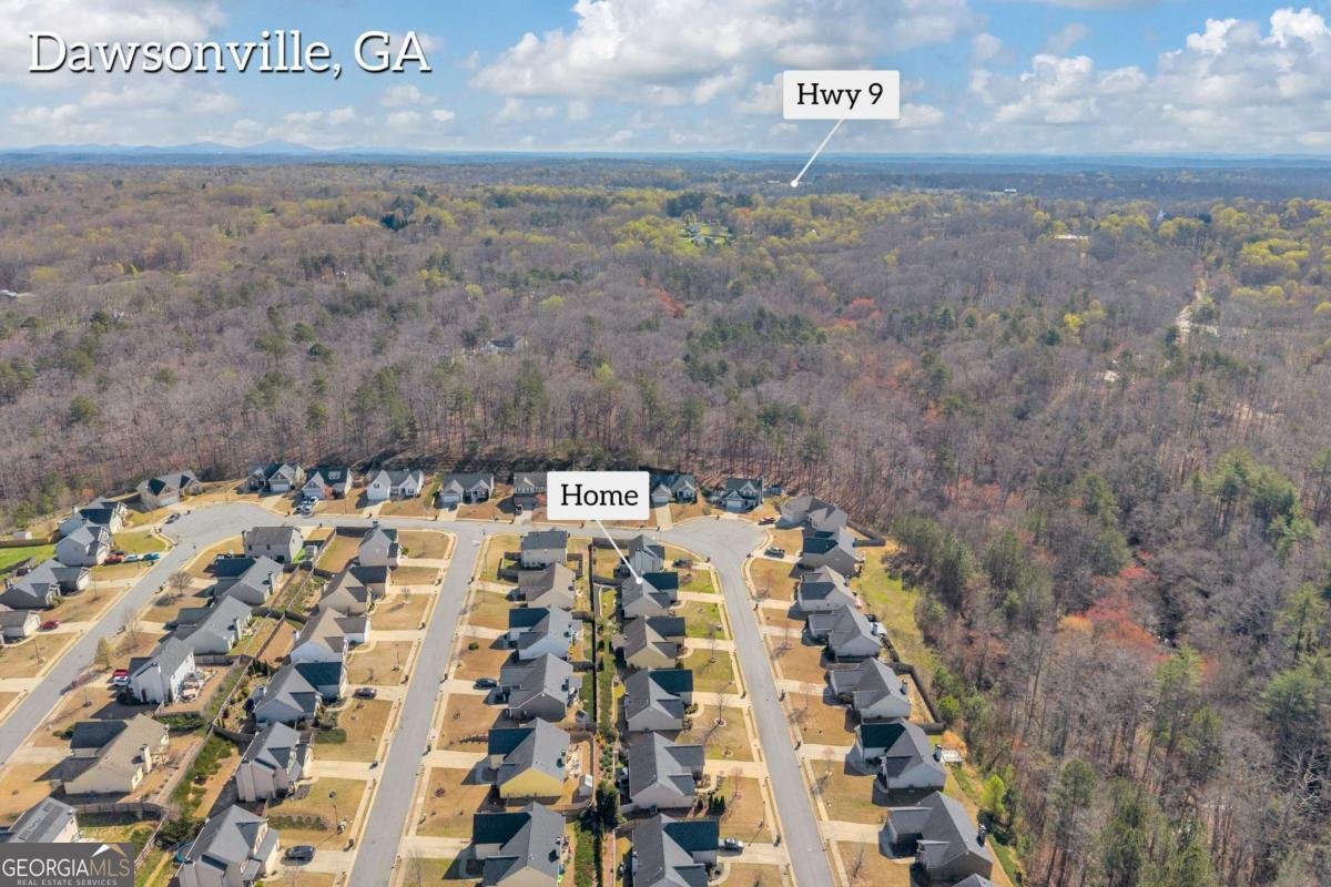 117 Harrier Drive Dawsonville - Photo 47