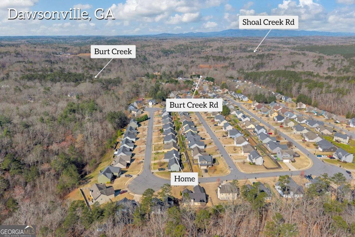 117 Harrier Drive Dawsonville - Photo 54