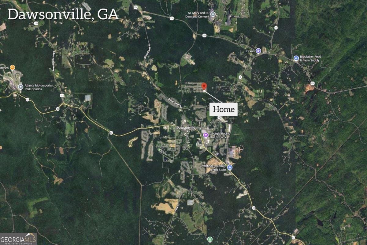 117 Harrier Drive Dawsonville - Photo 56