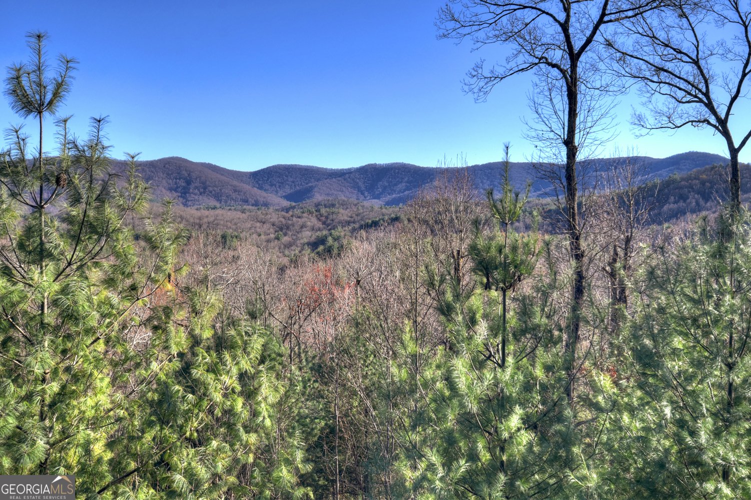 249 Settlement Road Epworth - Photo 7