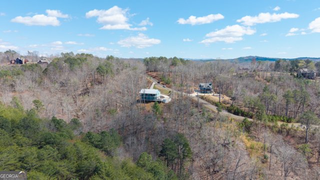 56 Carters View Lane Ellijay - Photo 24