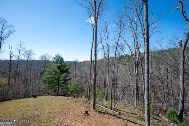 56 Carters View Lane Ellijay - Photo 63