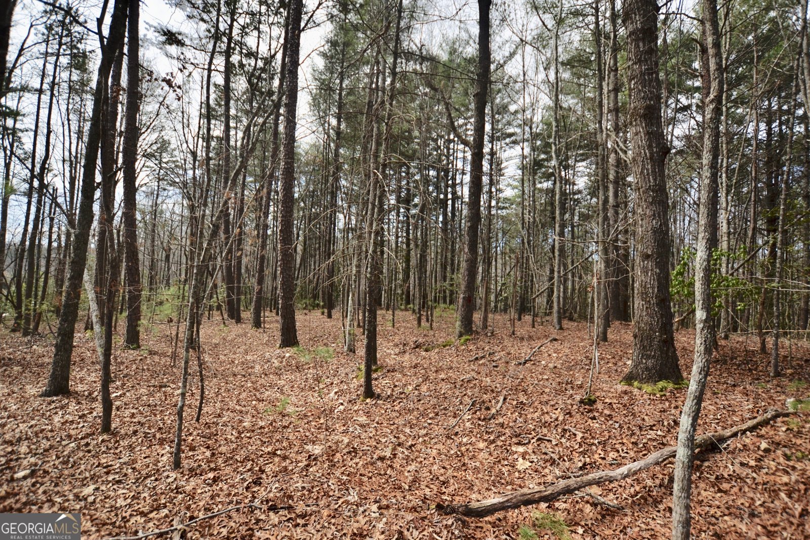 545 Clay Drive Blairsville - Photo 7