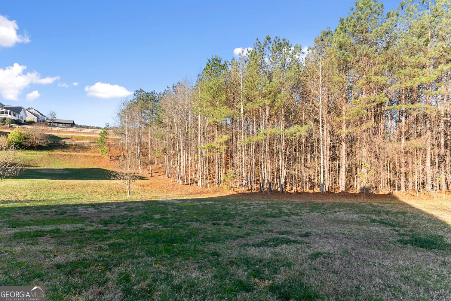 437 Morgan Lane Dawsonville - Photo 37
