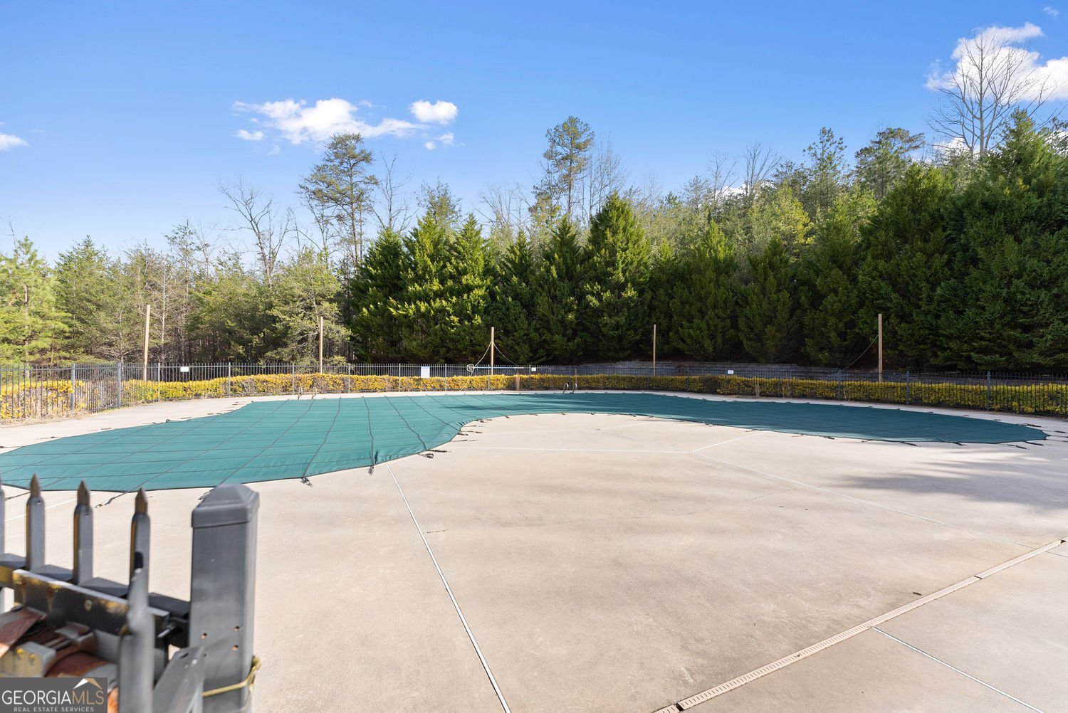 437 Morgan Lane Dawsonville - Photo 38