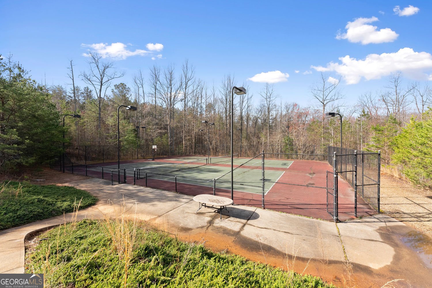 437 Morgan Lane Dawsonville - Photo 39