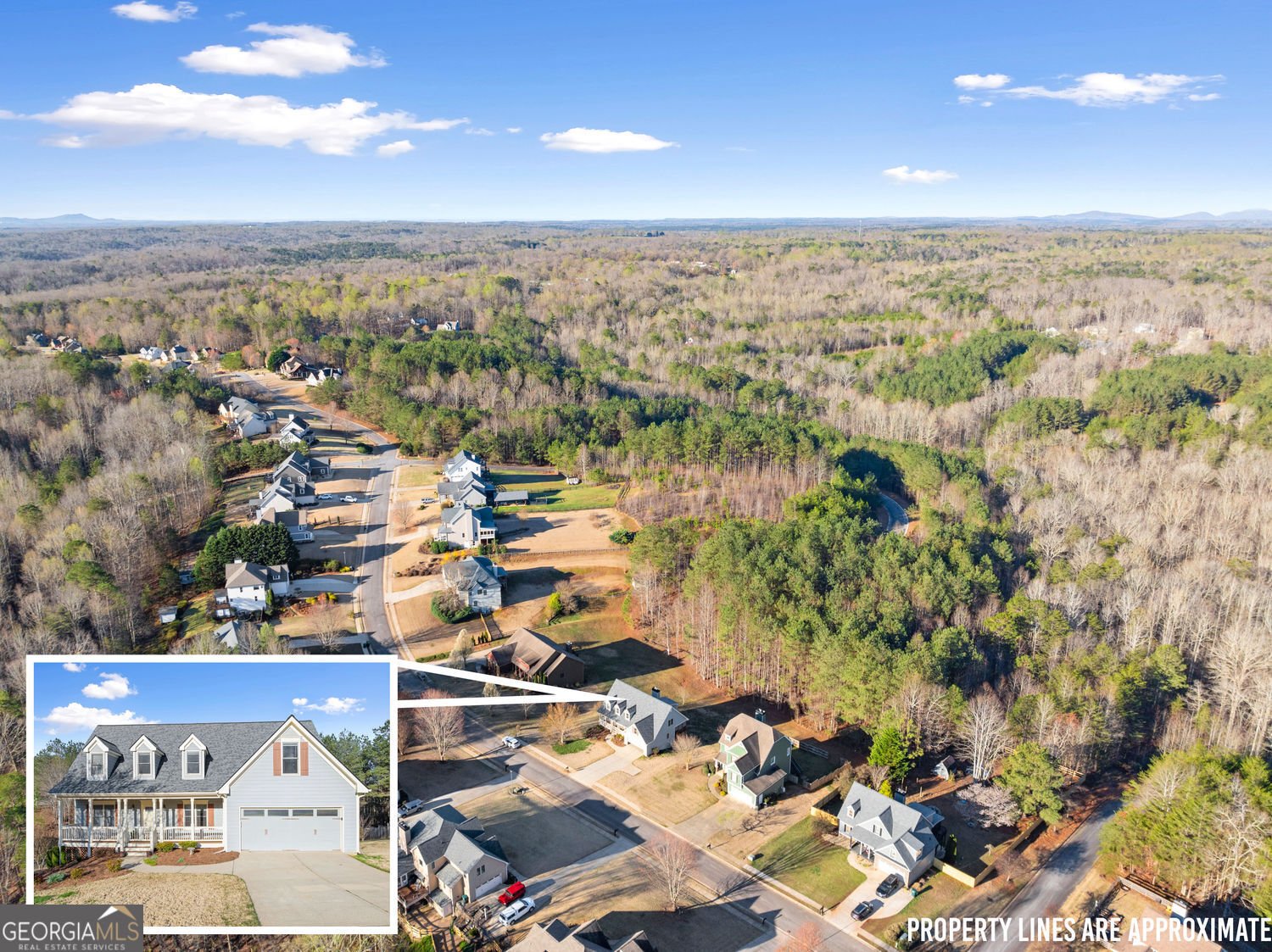 437 Morgan Lane Dawsonville - Photo 40