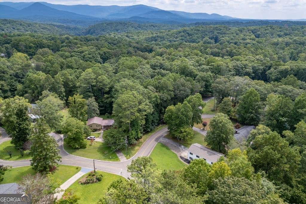 94 Brer Rabbit Trail Jasper - Photo 36