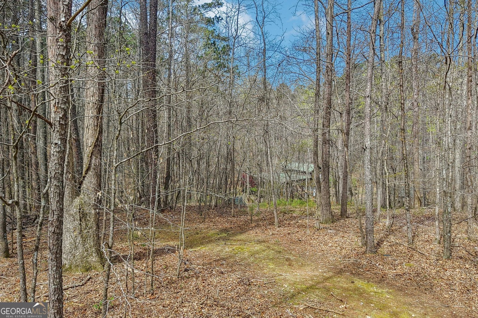 8 Tanglewood Road Newnan - Photo 120