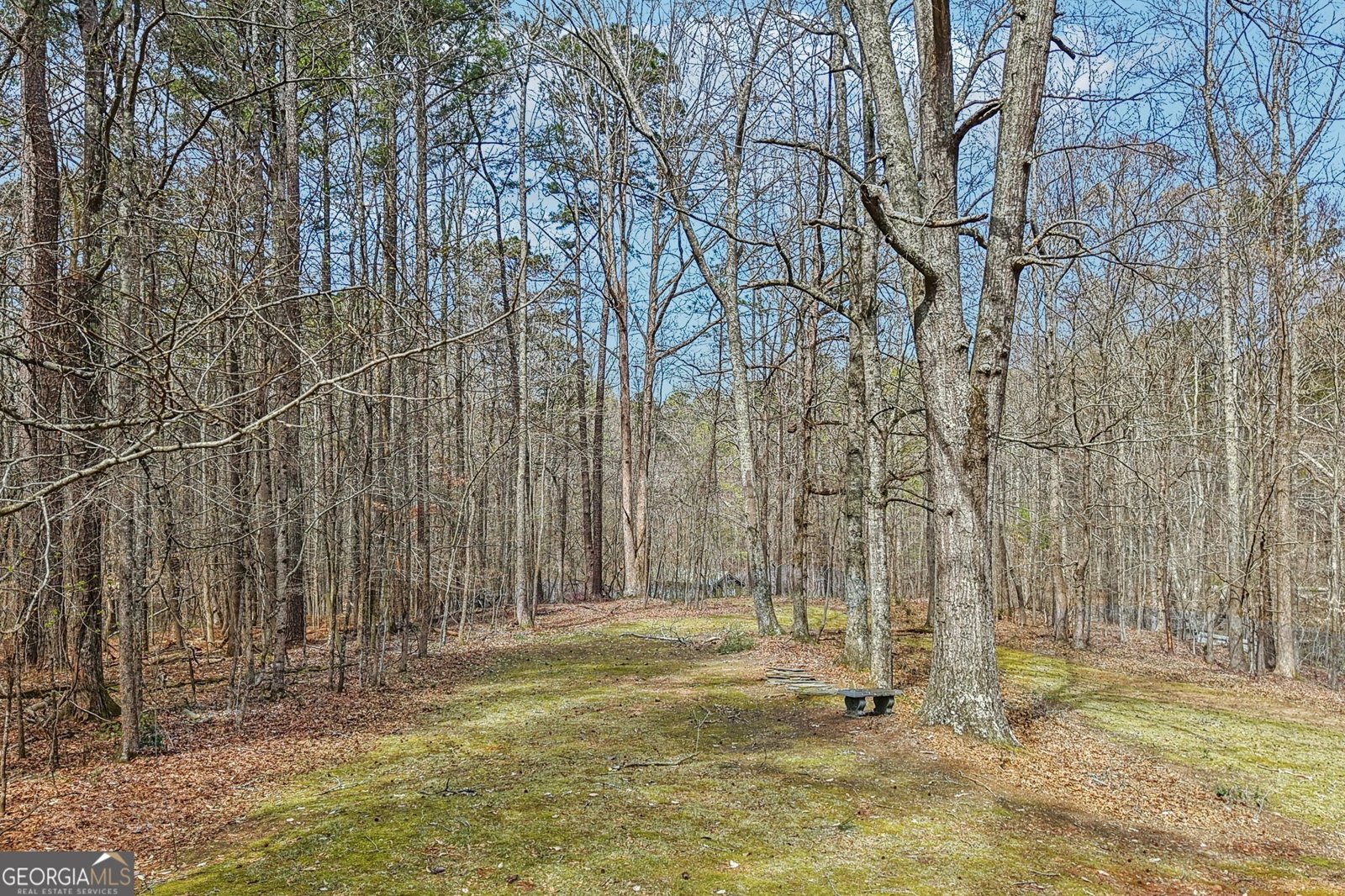 8 Tanglewood Road Newnan - Photo 121