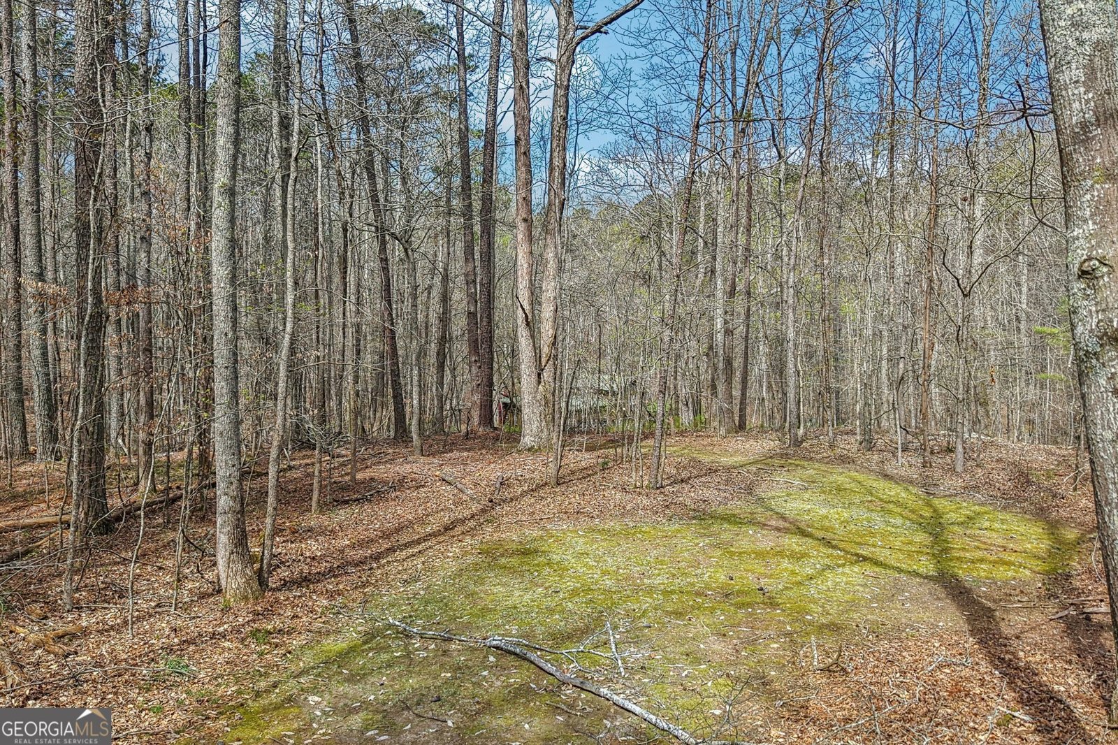 8 Tanglewood Road Newnan - Photo 90
