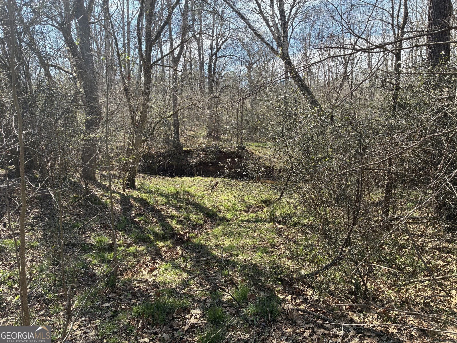 802 Lane Road Monticello - Photo 10