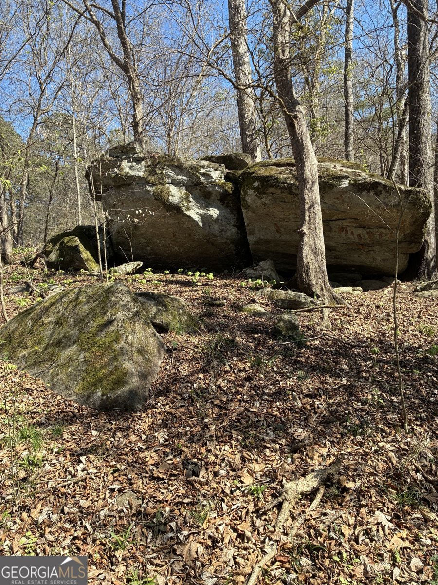 802 Lane Road Monticello - Photo 7