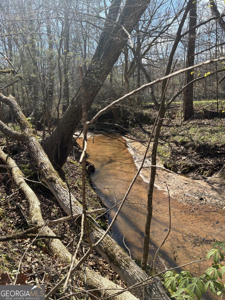 802 Lane Road Monticello - Photo 8