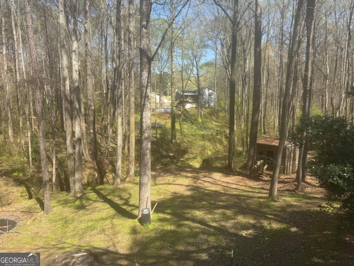 3150 Skyler Court Douglasville - Photo 6