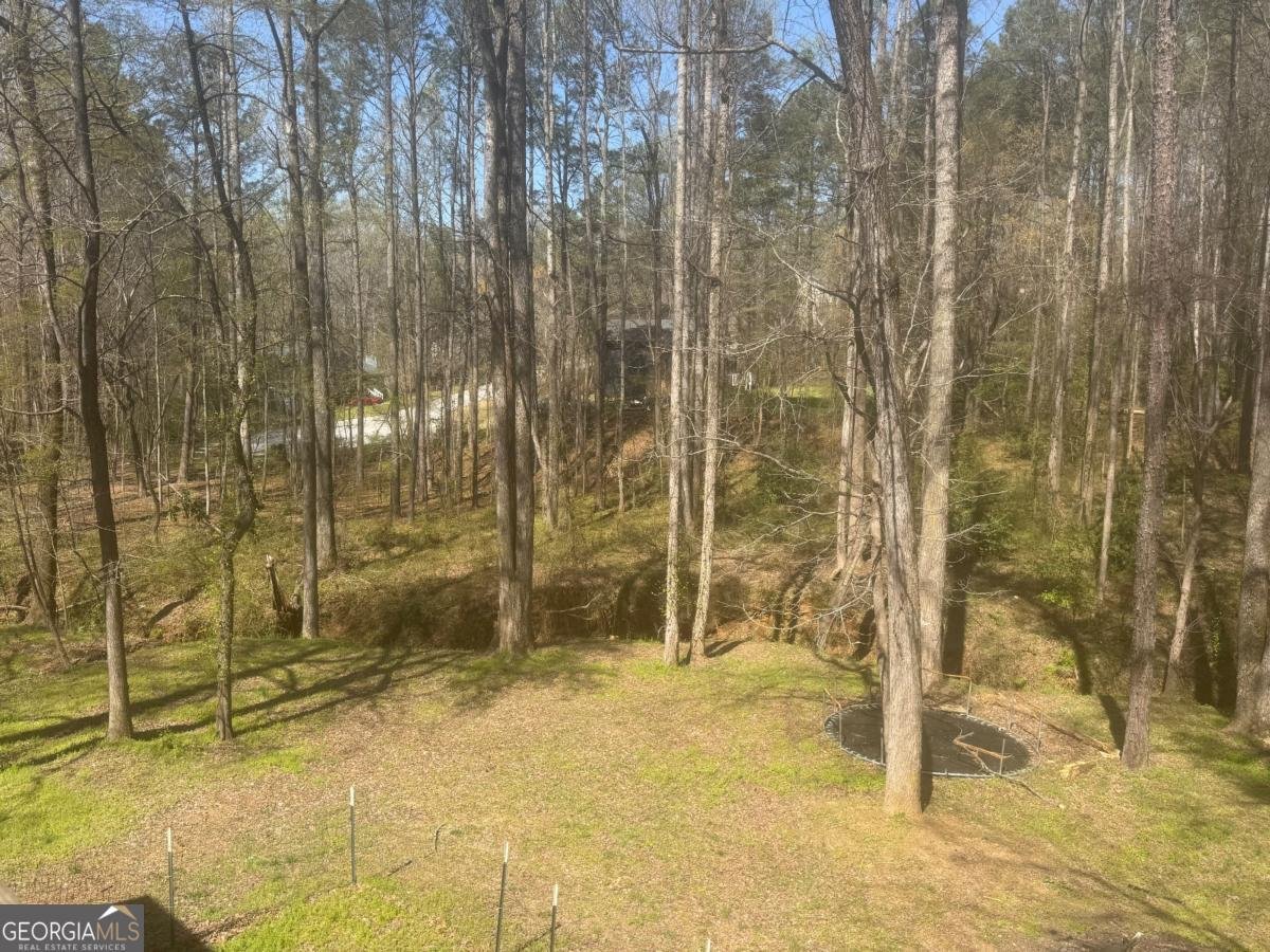 3150 Skyler Court Douglasville - Photo 7