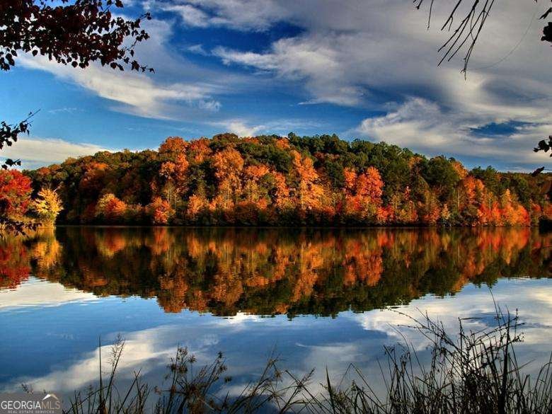 1561 Branthaven Lane Auburn - Photo 72