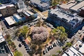 2691 Limestone Creek Drive Gainesville - Photo 59
