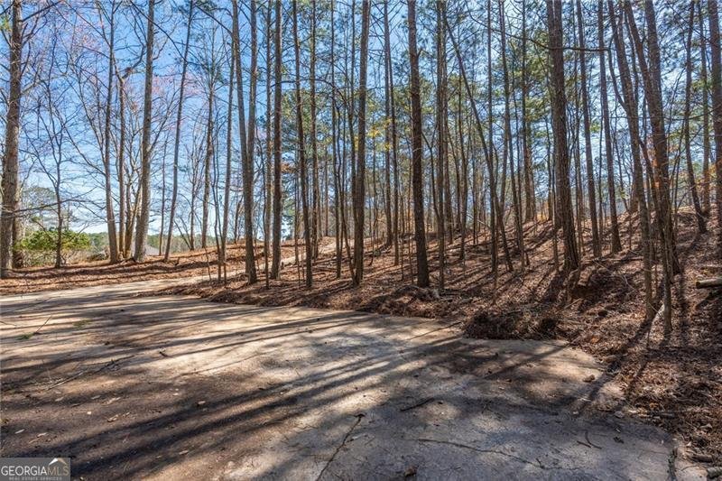 7180 Lakemond Court Villa Rica - Photo 51