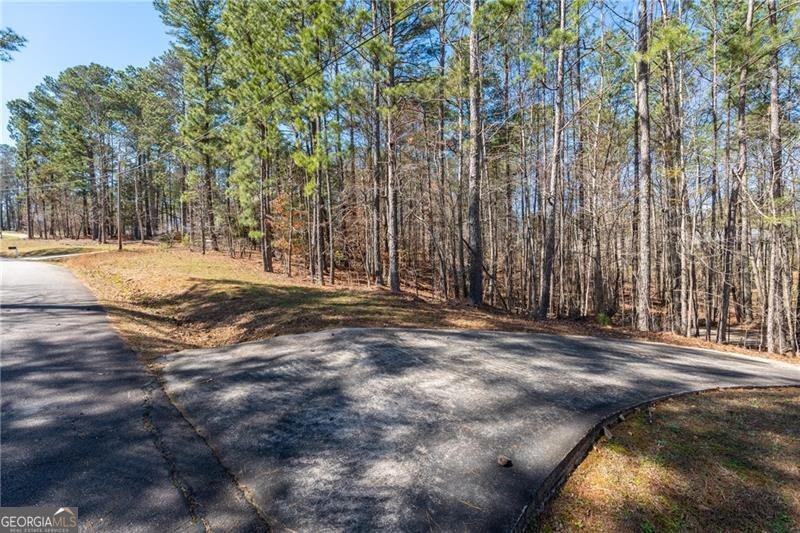 7180 Lakemond Court Villa Rica - Photo 52