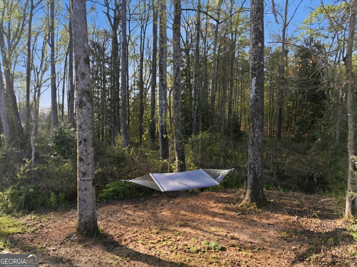 269 Baumgard Way Locust Grove - Photo 56