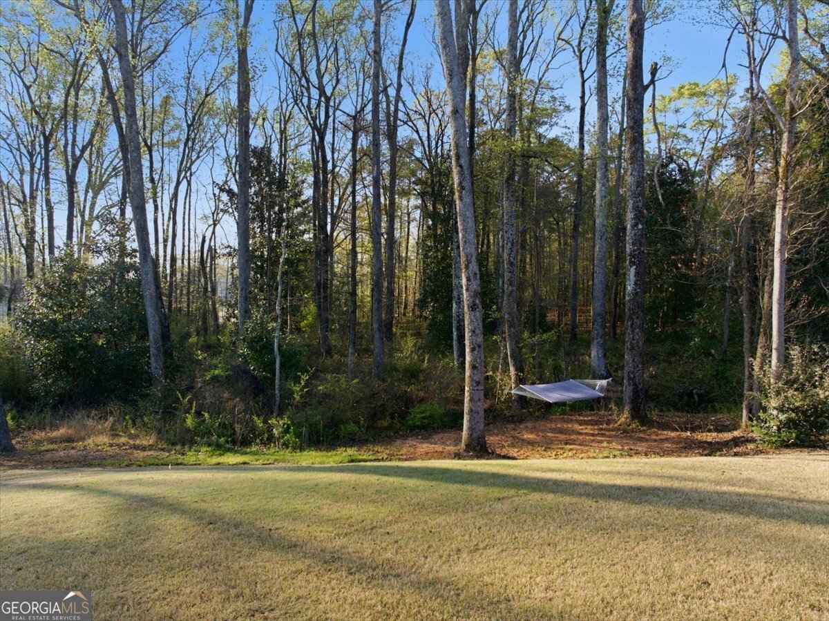 269 Baumgard Way Locust Grove - Photo 57