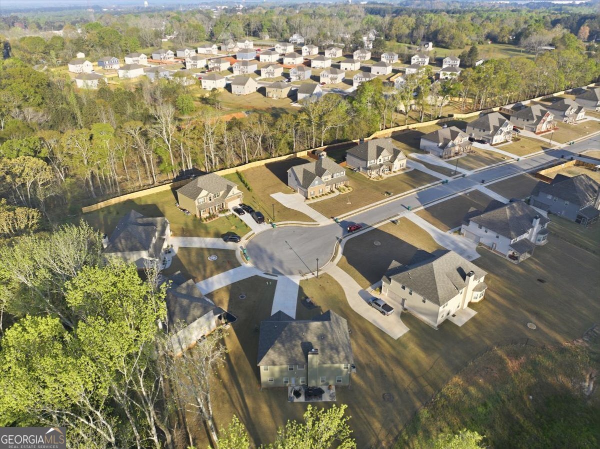 269 Baumgard Way Locust Grove - Photo 61