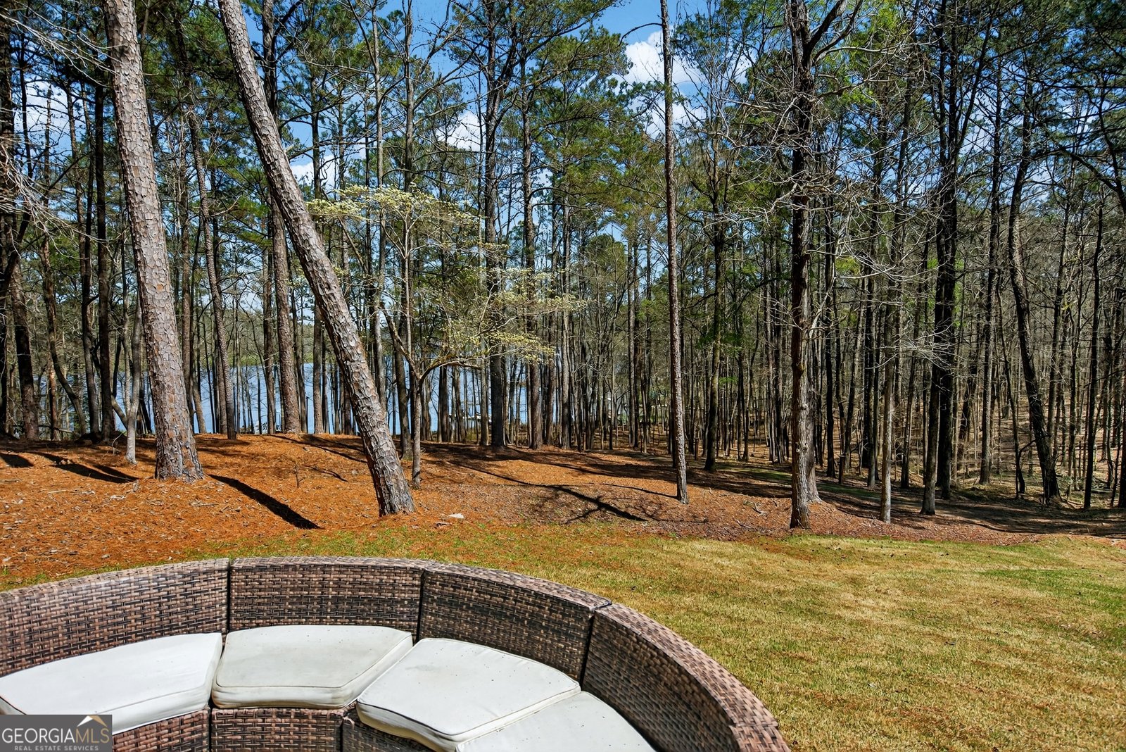 4 Grayson Point Hogansville - Photo 53