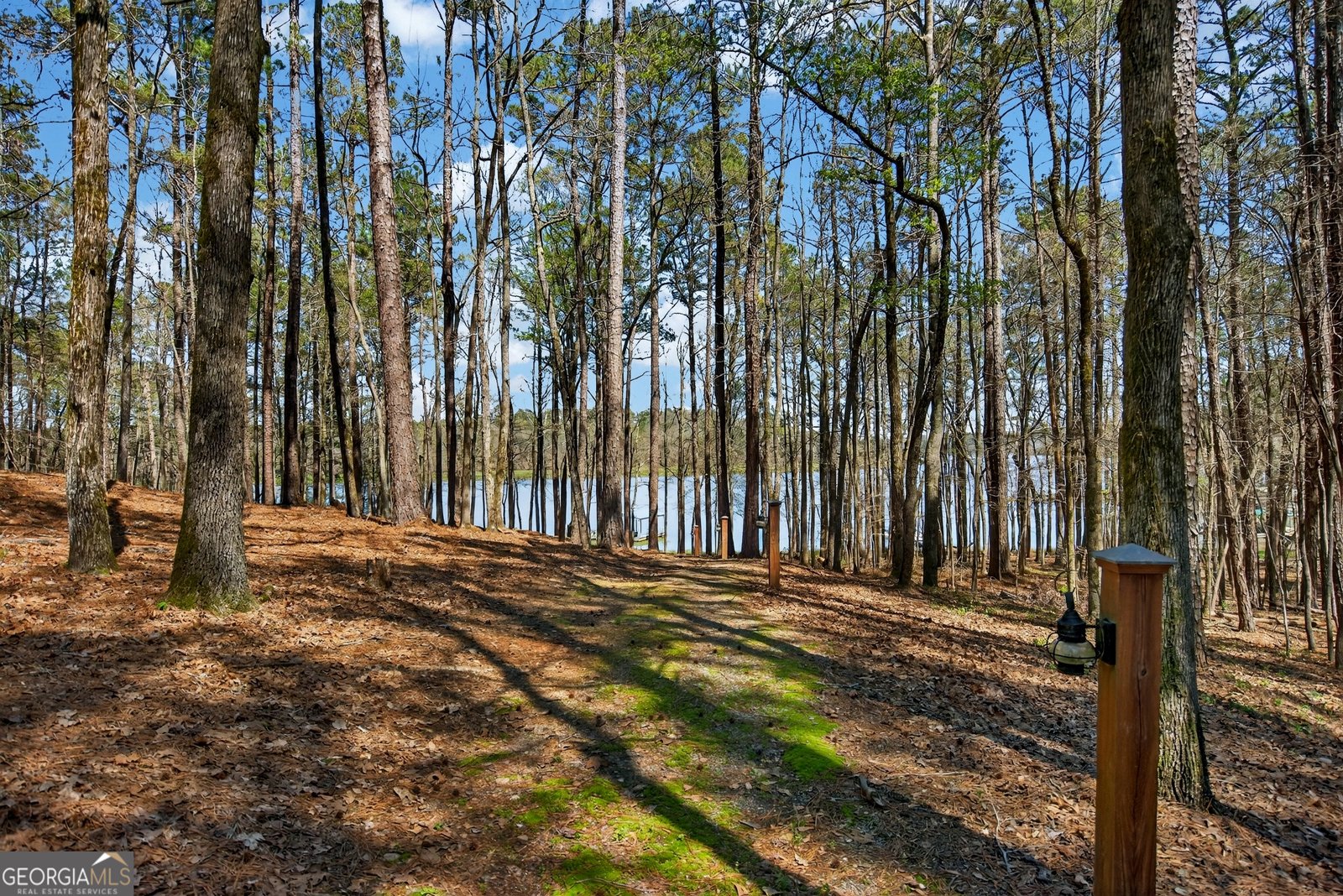 4 Grayson Point Hogansville - Photo 56