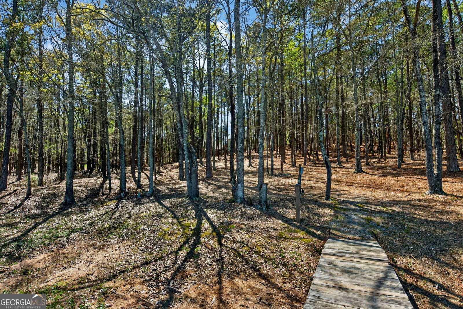 4 Grayson Point Hogansville - Photo 57