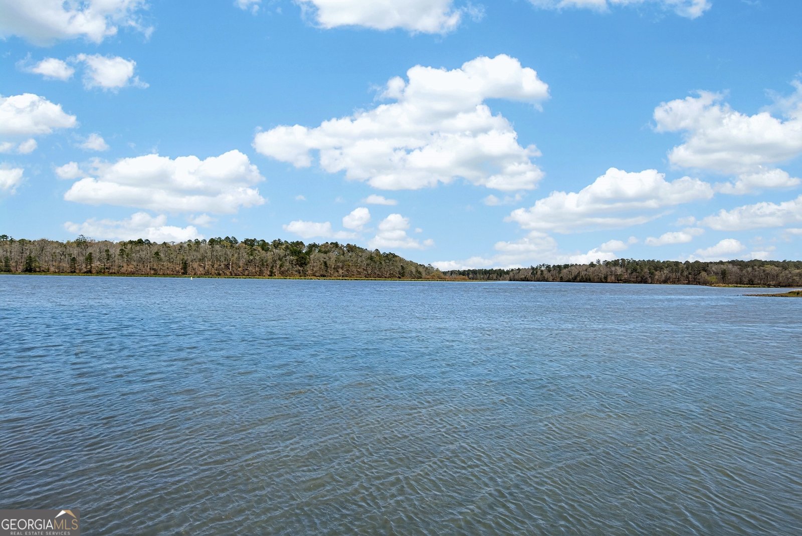 4 Grayson Point Hogansville - Photo 63