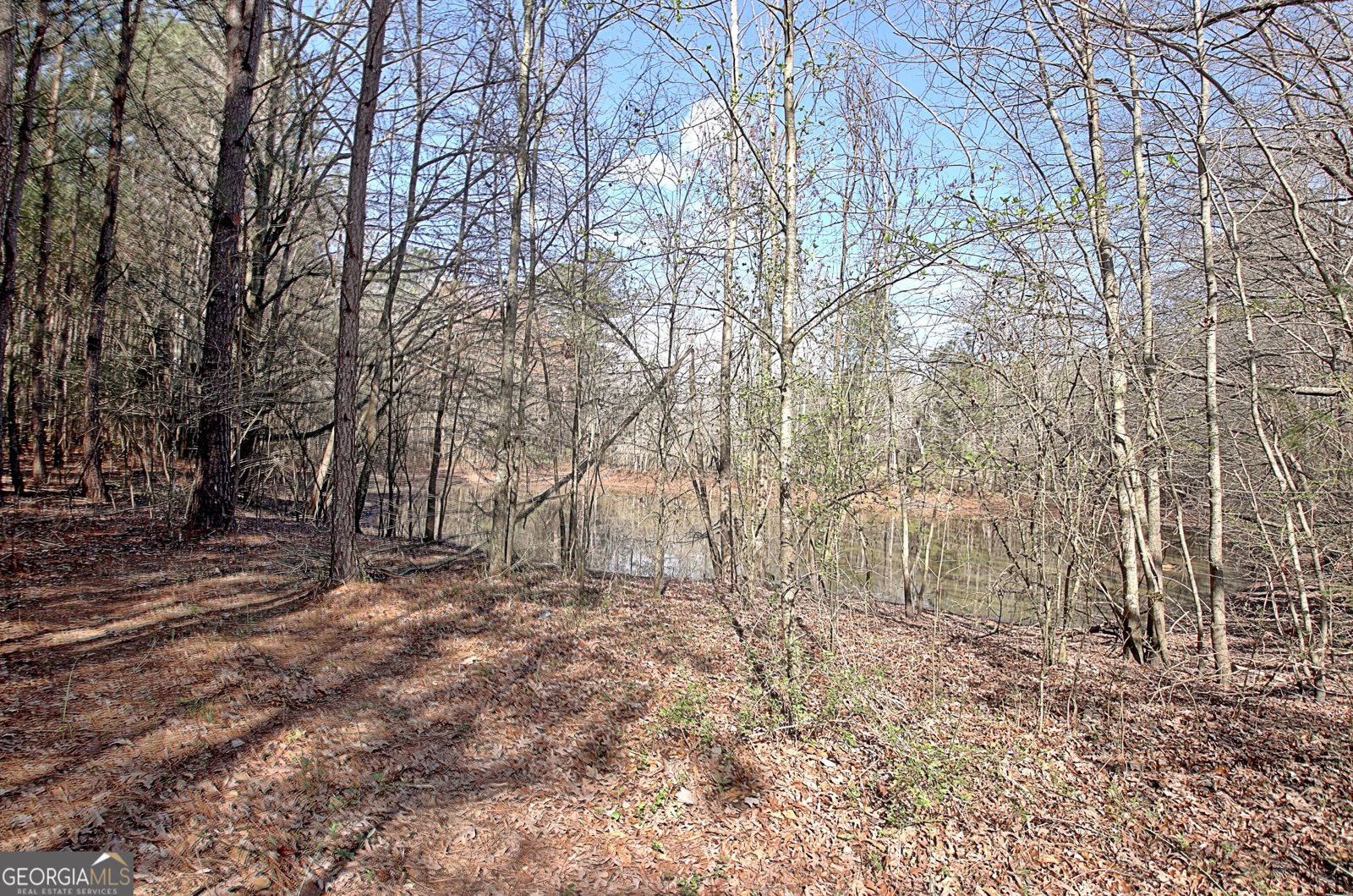 6475 Newnan Road Brooks - Photo 68