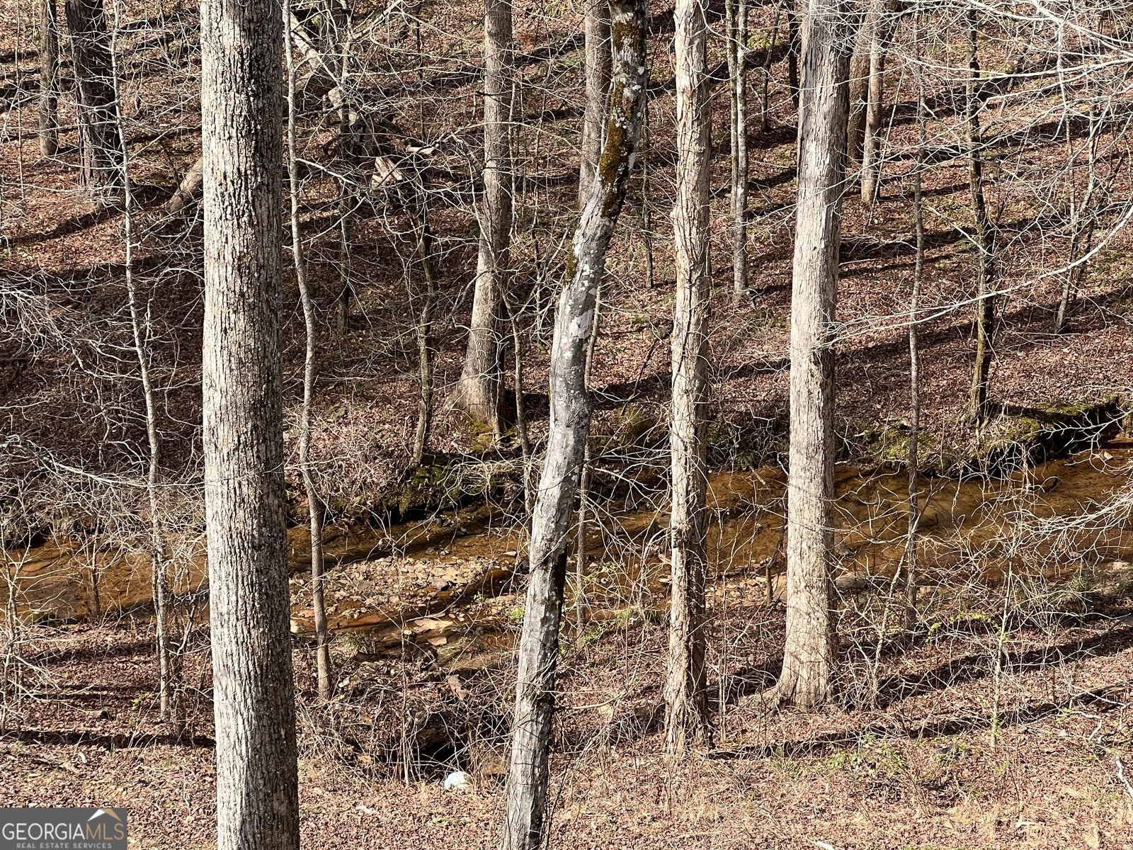 269 Grand Circle Jasper - Photo 44