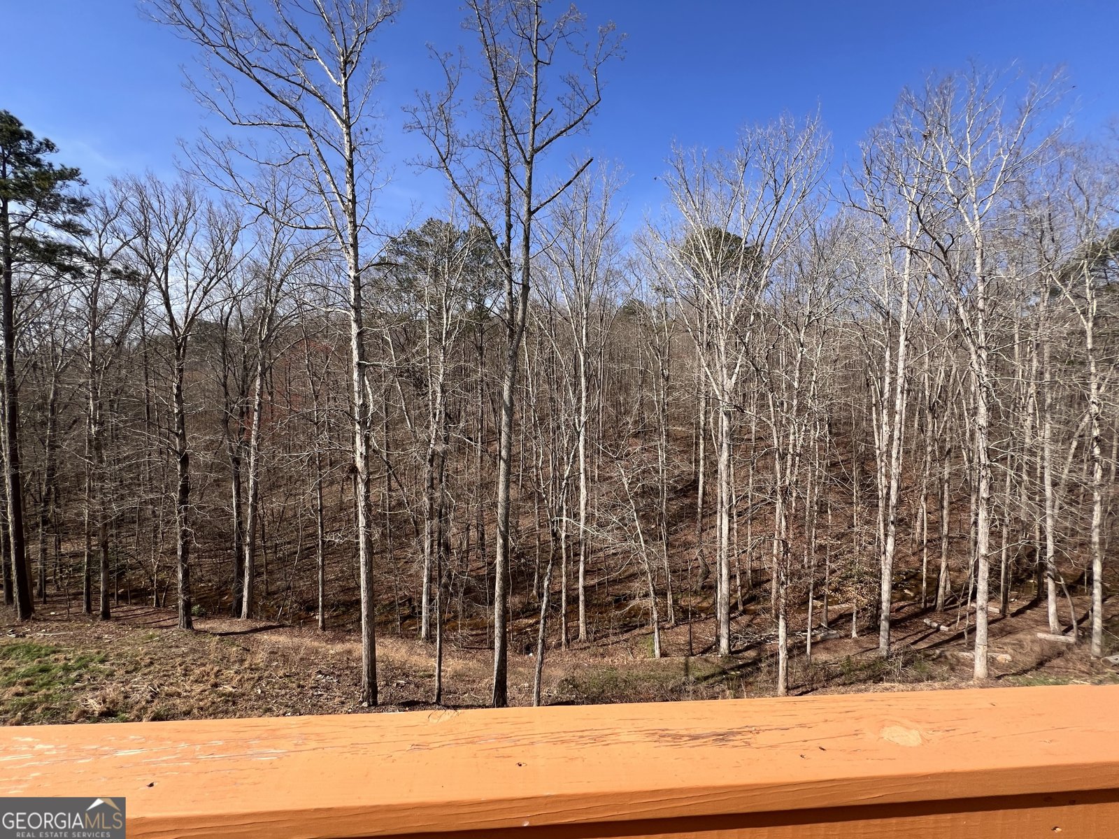 269 Grand Circle Jasper - Photo 45