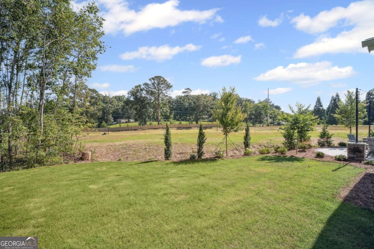 4715 Rosarian Drive Cumming - Photo 42