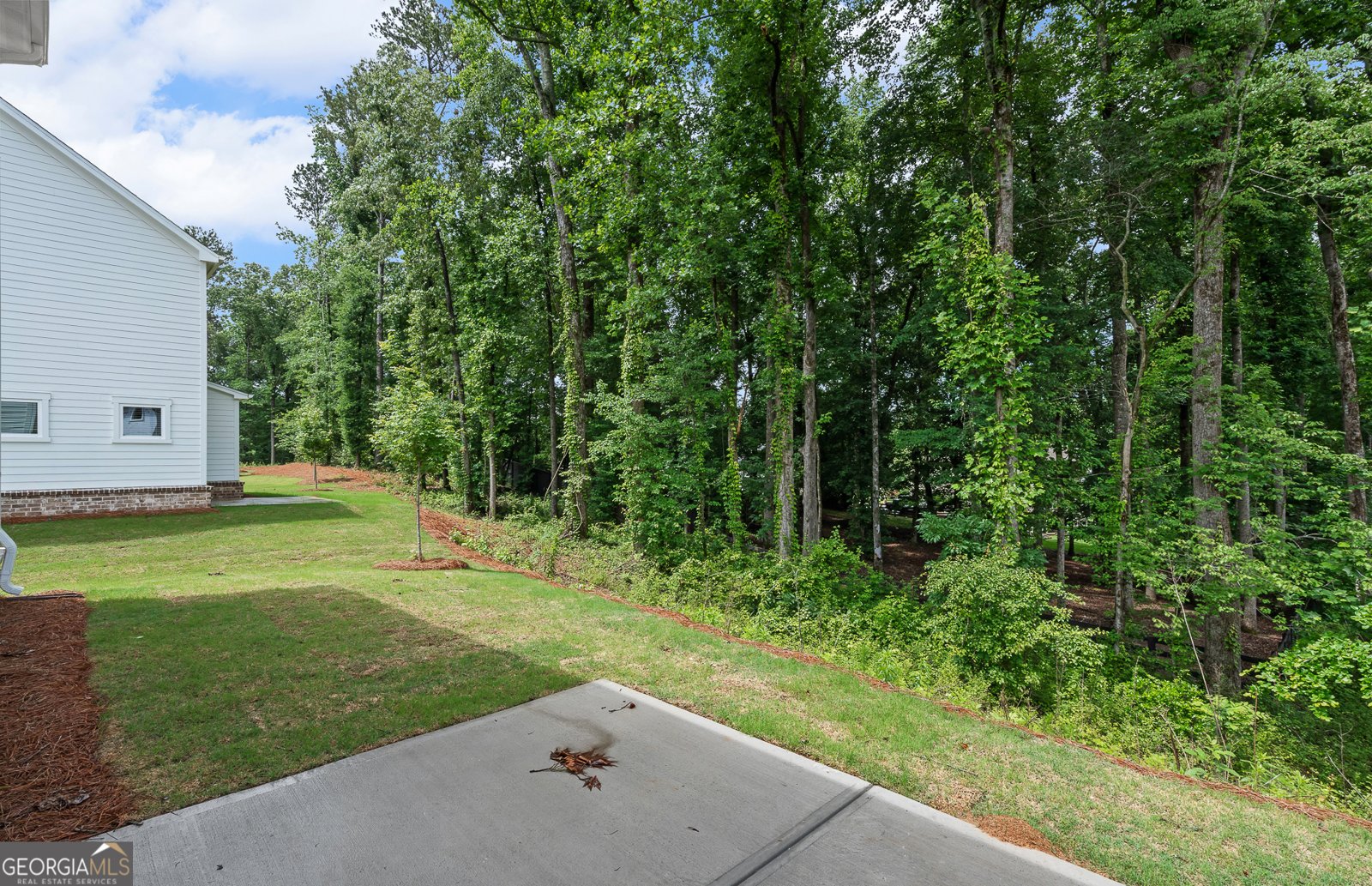 4715 Rosarian Drive Cumming - Photo 46
