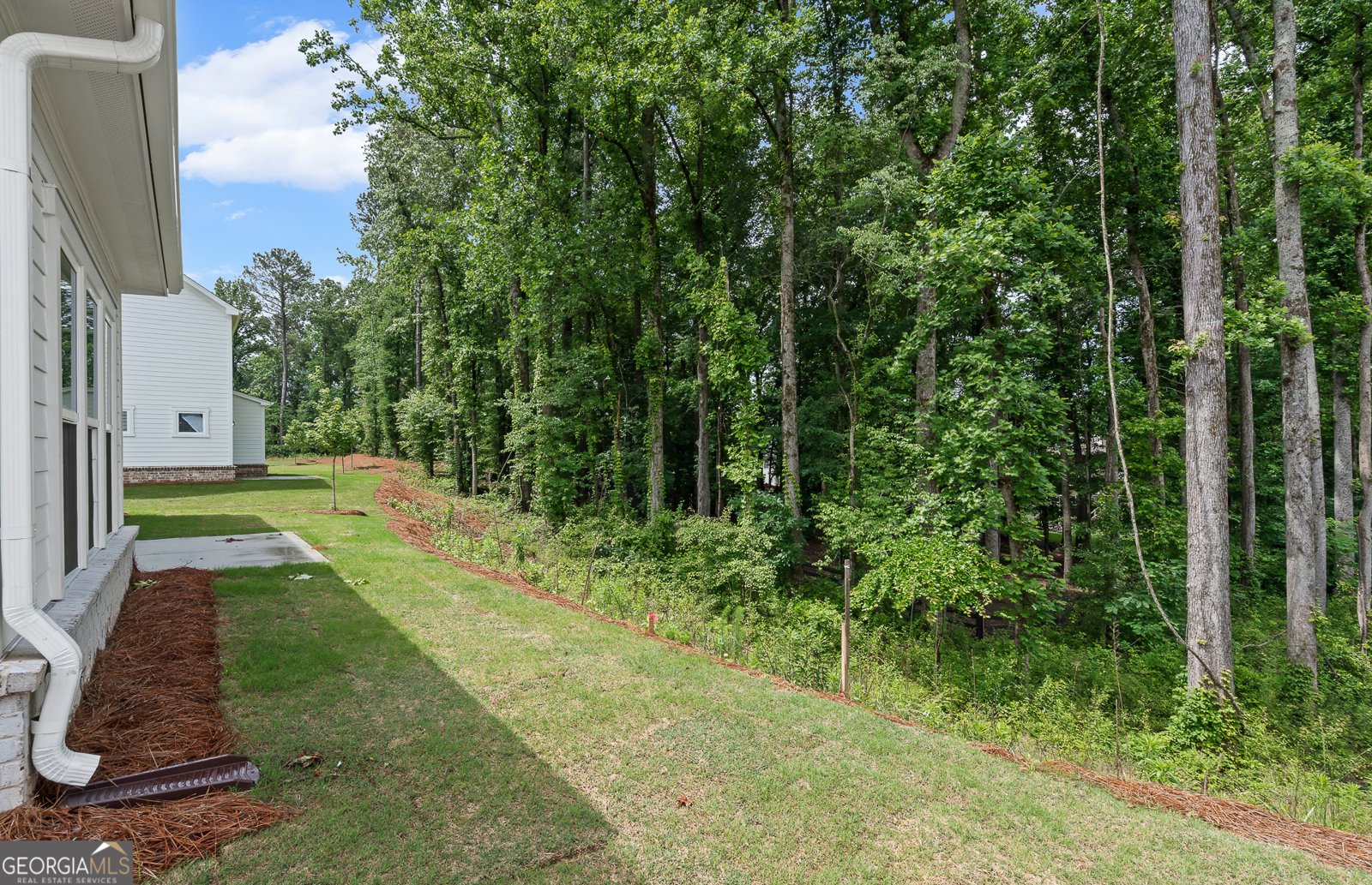 4715 Rosarian Drive Cumming - Photo 49